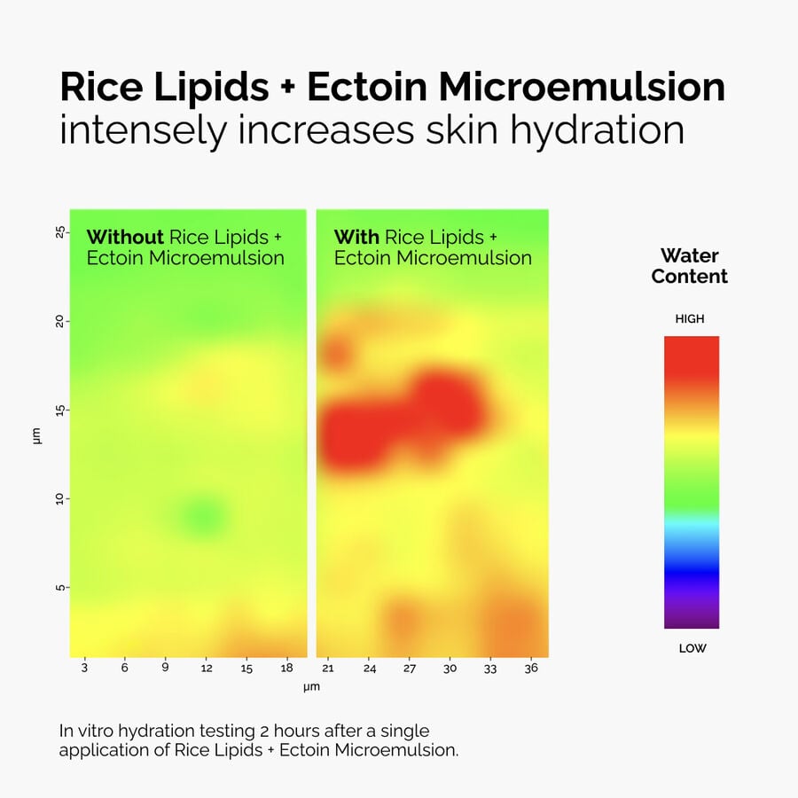 Rice Lipids + Ectoin Ultra-Light Moisturizer